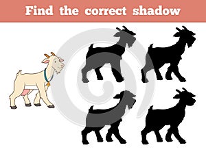 Find the correct shadow (goat)