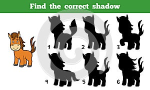 Find the correct shadow (horse)