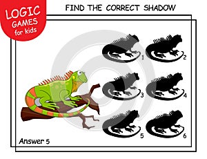 Find the correct shadow Iguana. Cute cartoon lizard. Educational matching game with cartoon character. Logic Games for Kids