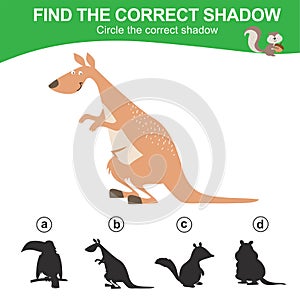 Find the correct shadow of the kangaroo. Matching animal shadow game for children.