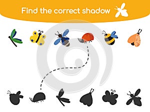 Find the correct shadow kids game vector illustration isolated on white background