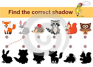 Find correct shadow. Kids educational game. Forest animals. Fox, rabbit, hedgehog, raccoon, squirrel, owl