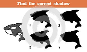 Find the correct shadow (killer whale)