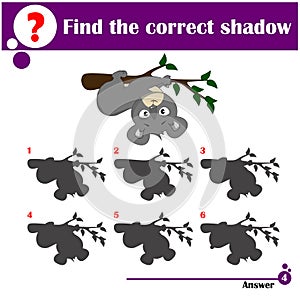 Find the correct shadow koala bear. Educational matching game for kids