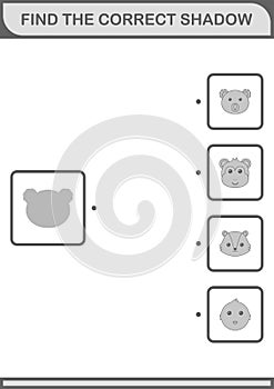 Find the correct shadow Koala face. Worksheet for kids