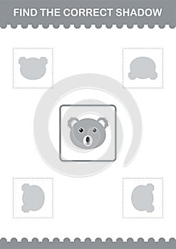 Find the correct shadow Koala face. Worksheet for kids