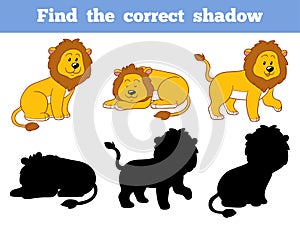 Find the correct shadow (lion)