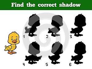 Find the correct shadow. Little duck