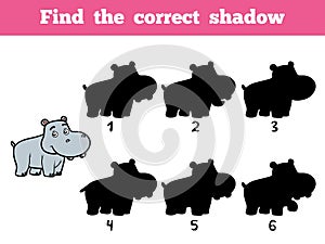 Find the correct shadow. Little hippo