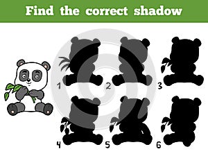 Find the correct shadow. Little panda