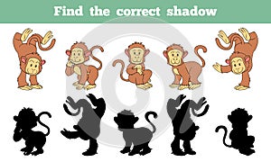 Find the correct shadow (monkey)