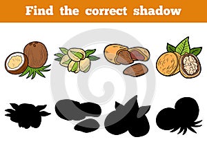Find the correct shadow: nuts