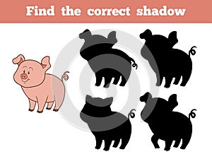 Find the correct shadow (pig)