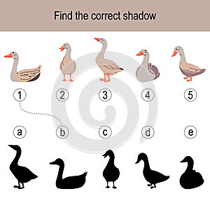Find the correct shadow puzzle with different ducks. Illustration can be used as logic game for children