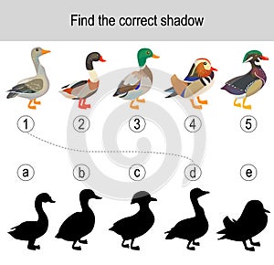 Find the correct shadow puzzle with farm birds. Illustration can be used as logic game for children