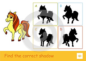 Find the correct shadow quiz learning children game with a skewbald horse and four silhouette shadows