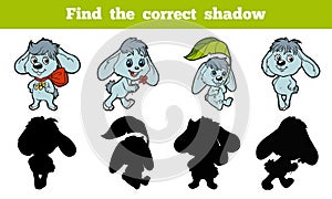 Find the correct shadow (rabbit)