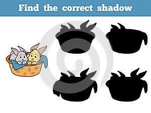 Find the correct shadow (rabbits in basket)