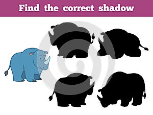 Find the correct shadow (rhino)