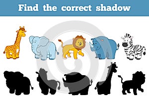 Find the correct shadow (safari animals)
