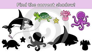 Find the correct shadow sea animals-4