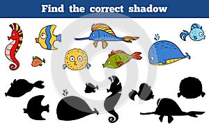 Find the correct shadow (sea life, fish, sea horse, whale)