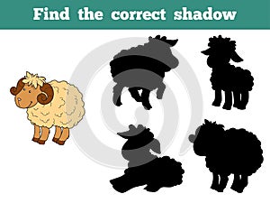 Find the correct shadow (sheep family)