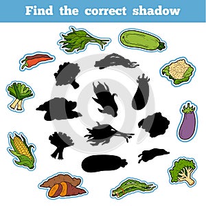 Find the correct shadow. Thai Vegetables