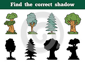 Find the correct shadow: trees