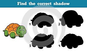 Find the correct shadow (turtle)