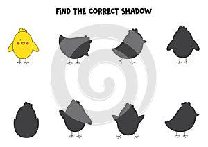 Find the correct shadows of cute Easter chicken. Logical puzzle for kids.