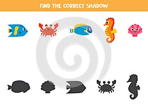 Find the correct shadows of cute sea fish. Logical puzzle for kids