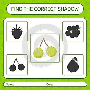 Find the correct shadows game with quenepa. worksheet for preschool kids, kids activity sheet