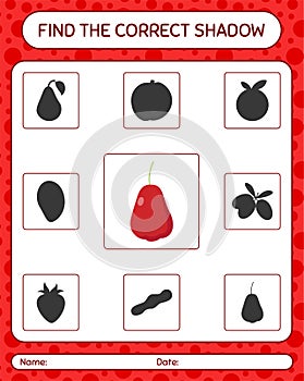 Find the correct shadows game with rose apple. worksheet for preschool kids, kids activity sheet