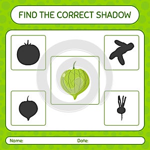 Find the correct shadows game with tomatillo. worksheet for preschool kids, kids activity sheet