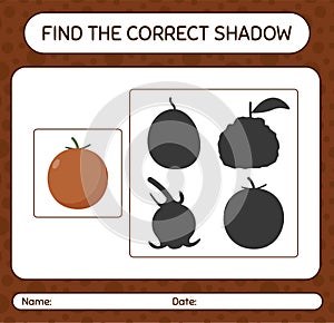 Find the correct shadows game with velvet apple. worksheet for preschool kids, kids activity sheet