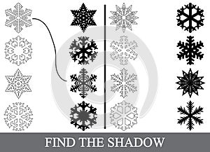 Find the correct shadows silhouettes of snowflakes.