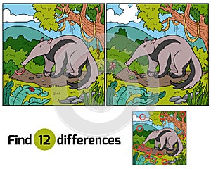 Find differences (anteater)