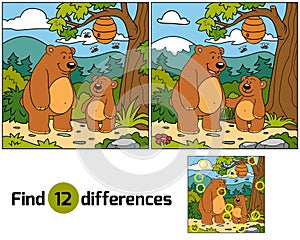 Find differences (bears family)