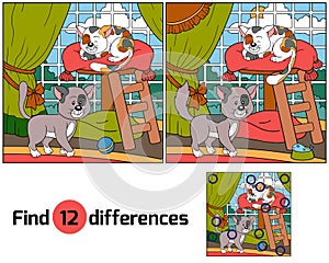 Find differences (cats)