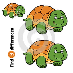 Find differences for children (turtle)