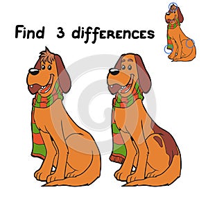 Find differences (dog)