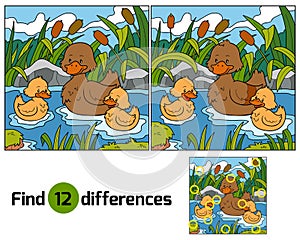 Find differences (duck)