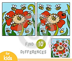 Find differences education game, bees