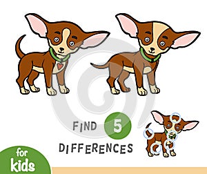 Find differences, education game, Chihuahua