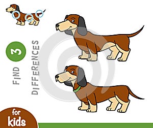 Find differences, education game, Dachshund