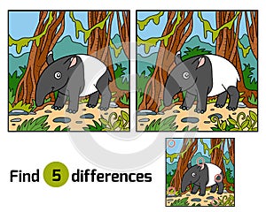 Find differences education game, Malayan tapir