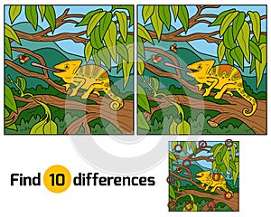 Find differences, game for children (chameleon)