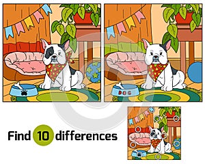 Find differences, game for children (french bulldog and background)