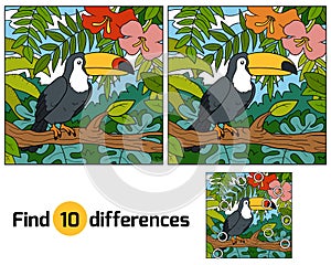 Find differences, game for children (toucan and background)